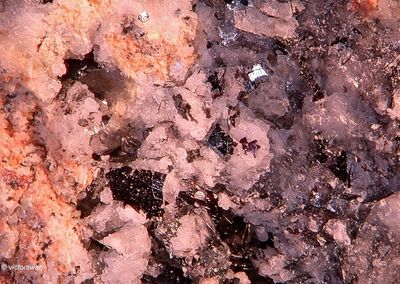 Minerals