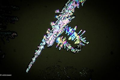 crystallizations