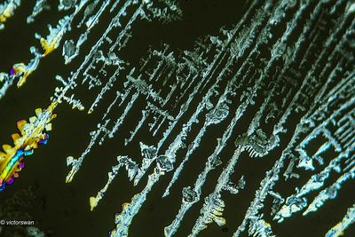 crystallizations