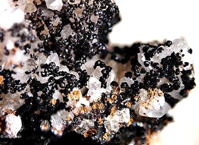 Minerals