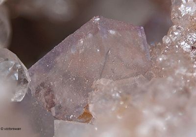 Minerals