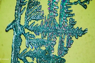 crystallizations