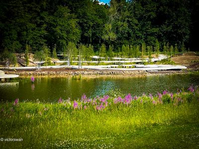 Meise National plant garden of belgium