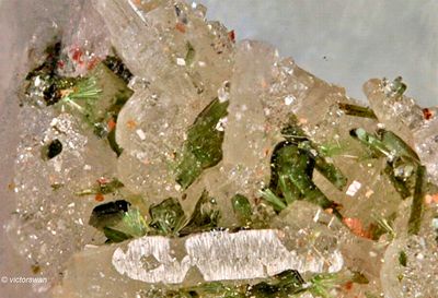Minerals