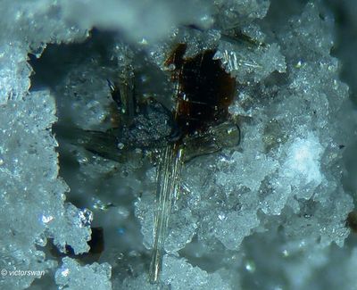 Minerals