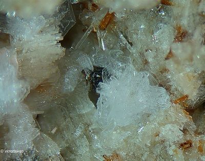 Minerals