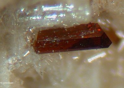 Minerals