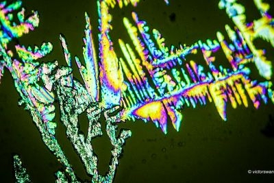 crystallizations