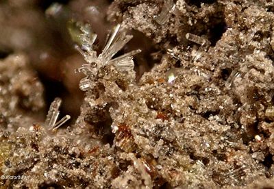 Minerals