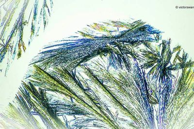 crystallizations