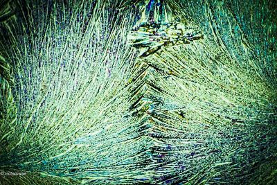 crystallizations