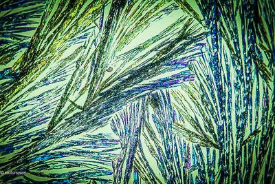crystallizations