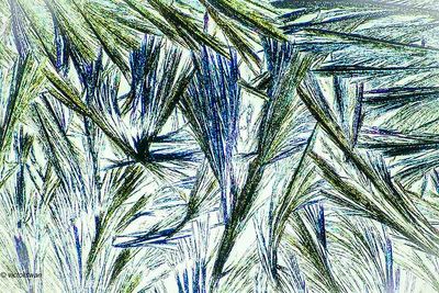 crystallizations