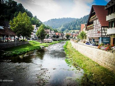 Black forest