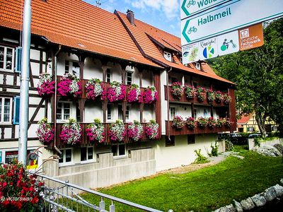 Black forest