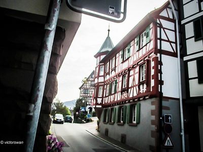 Black forest