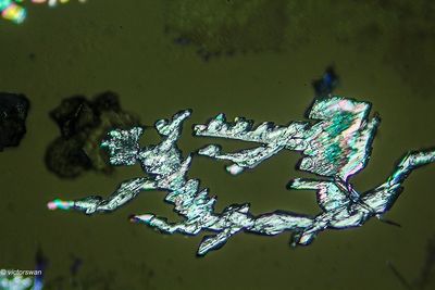 crystallizations