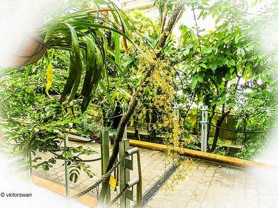 Meise National plant garden of belgium