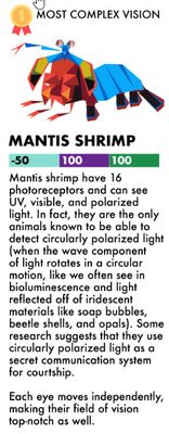 shrimp.jpg