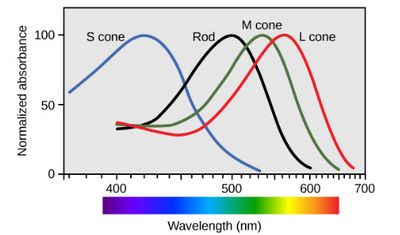cone1.jpg