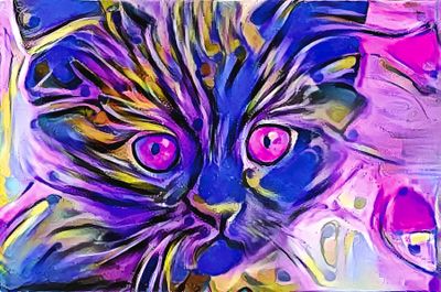 funny-face-kitten-purple-eyes-don-northup.jpg