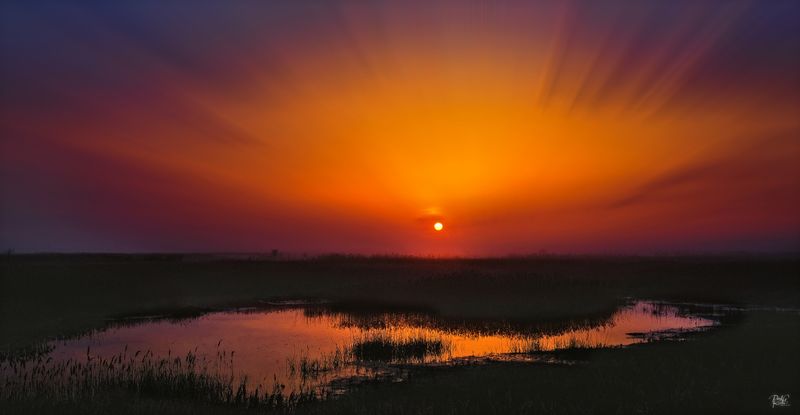 Sunrise over Blakeney Marshes.jpg