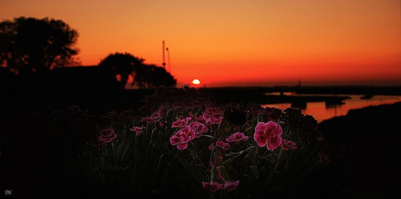 Blakeney Sunset.jpg