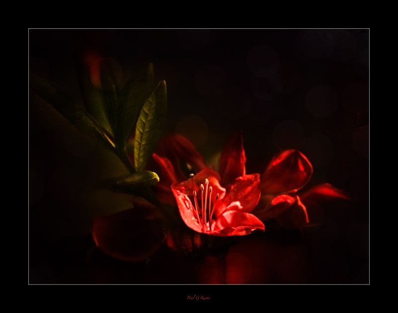 2024 - May 19th 40 copy 25The wonder of colour and light.