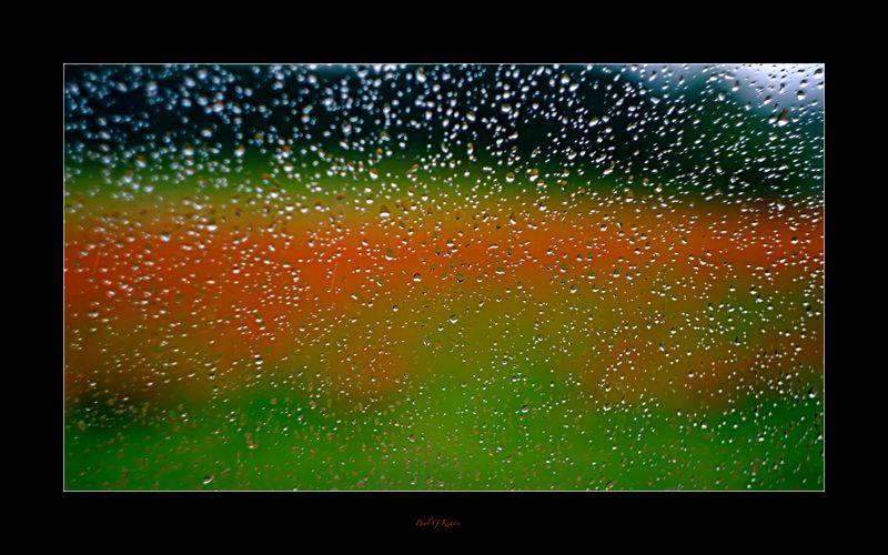 Rain stopped Play with Vintage Lens of Poppy Field..jpg