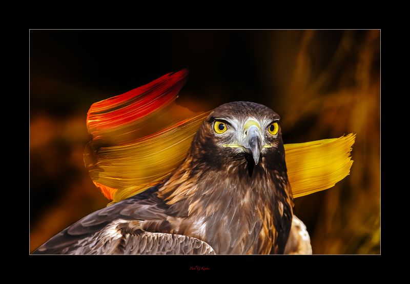 Pks PhotoFusion .....jpg