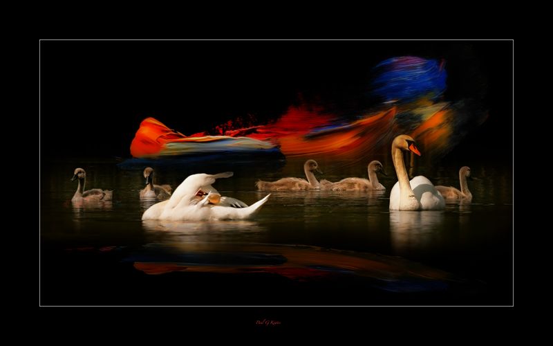 PK's FotoFusion..jpg