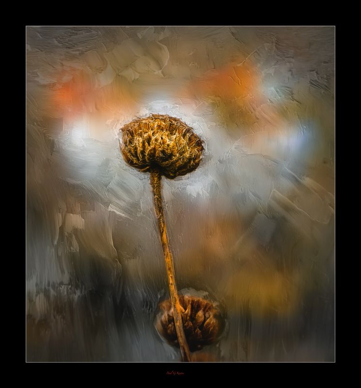 FotoFusion.jpg