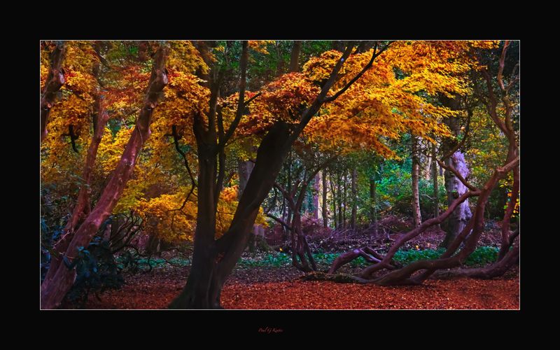 Sheringham Park.jpg