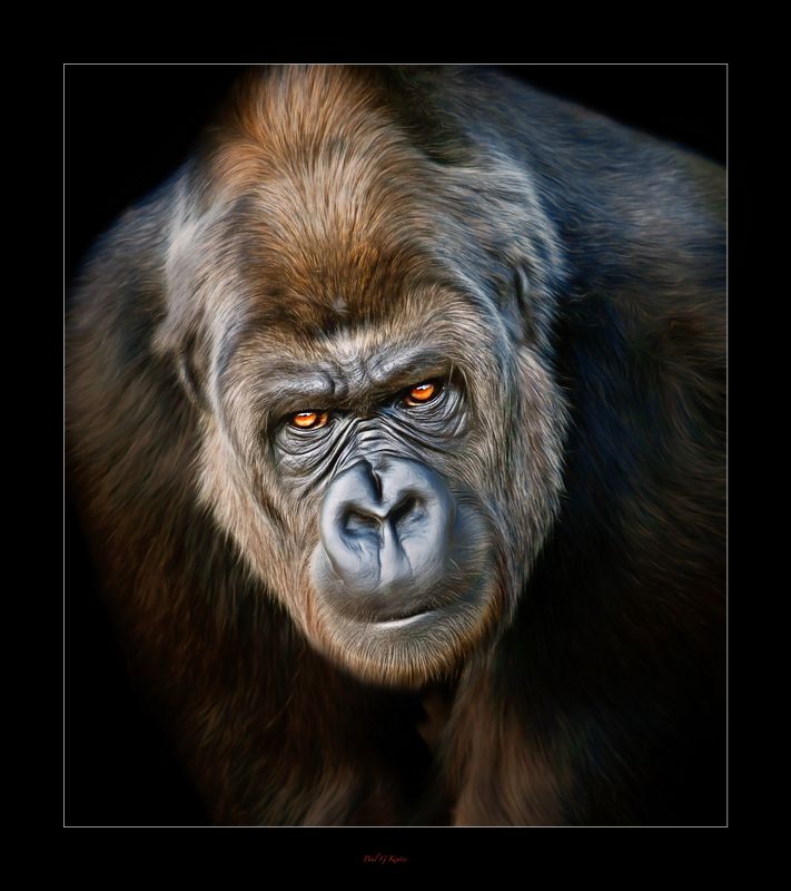 What are those eyes saying?.jpg