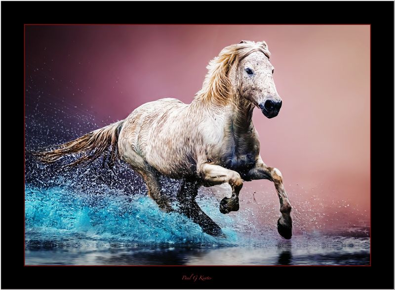 Leading Horse.jpg