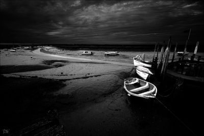 Moody Morston.jpg