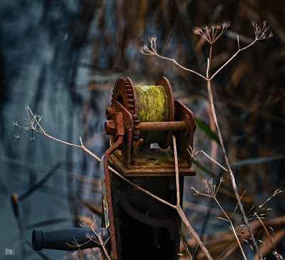 Beauty in the imperfect ...(Wabi Sabi).jpg