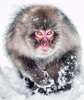 Bit Cold.jpg