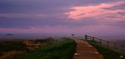 Into the Mist.jpeg