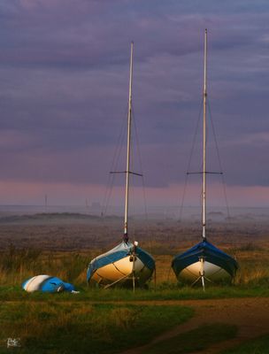 Misty Blakeney.jpg