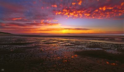 Wells Beach.jpg