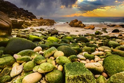 Dinosaur Egg Beach, Cornwall.jpg