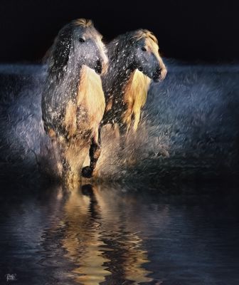 Sunset Splash..jpg