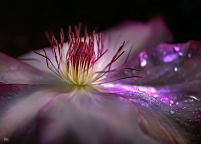 After the storm.jpg