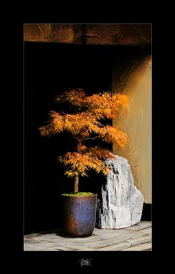 Kyoto.jpg