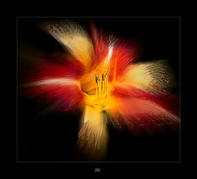 Flowerworks Night.jpg