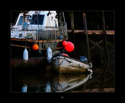 Spot the Kingfisher.jpg