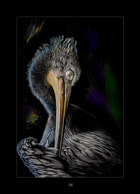 Preening.jpeg