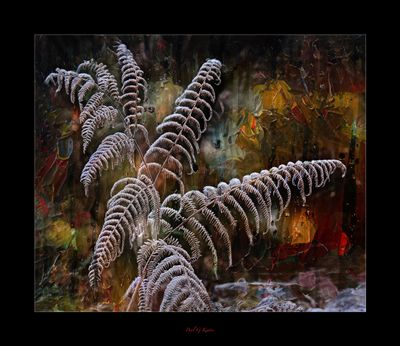 Frosty Fern.jpg