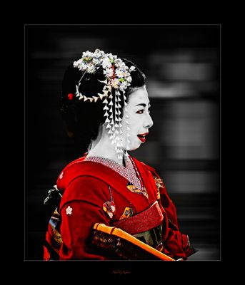 Gion, Japan.jpg